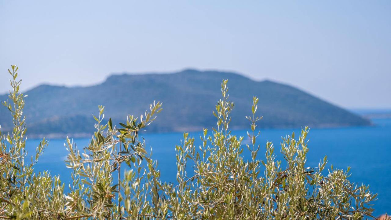 Sea Mist Suites Kaş Exteriör bild
