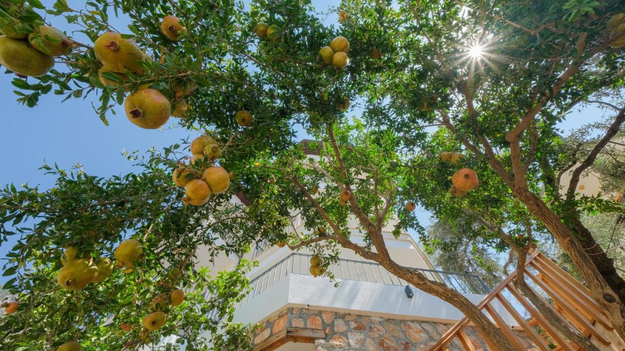 Sea Mist Suites Kaş Exteriör bild